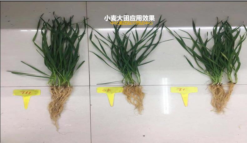 楚之翼1号
